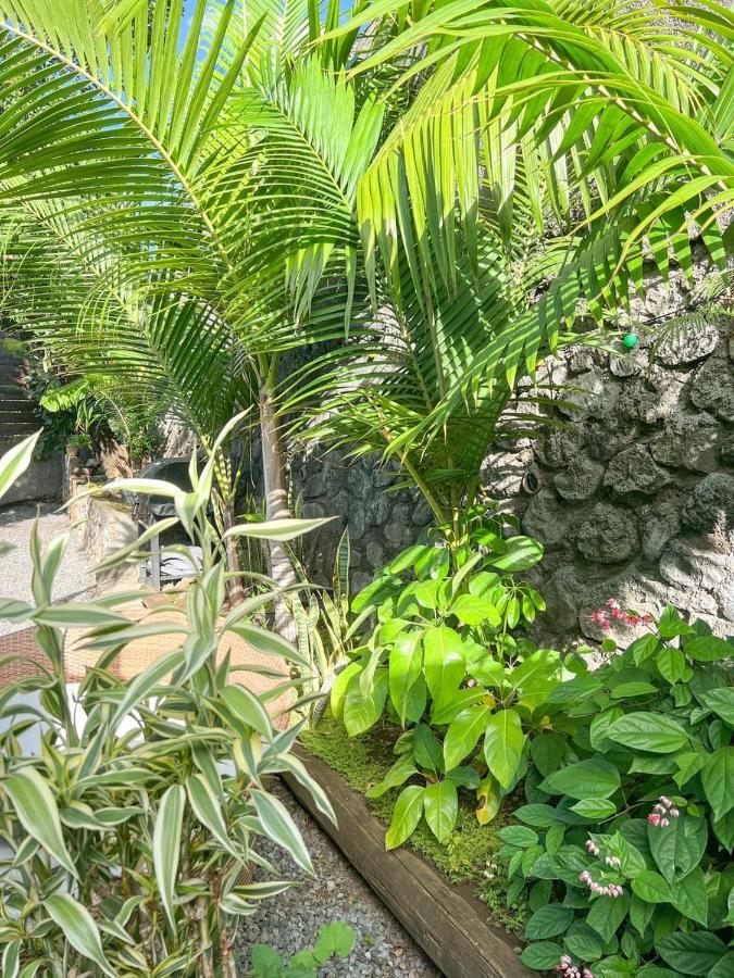 L'Eden - Villa Cosy A Sainte-Clotilde Kültér fotó